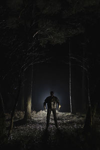 Demon standing amidst trees in forest at night