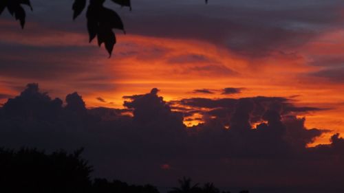 Silhouette of trees against cloudy sky