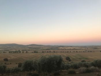 Scenic view of field against clear sky during sunset