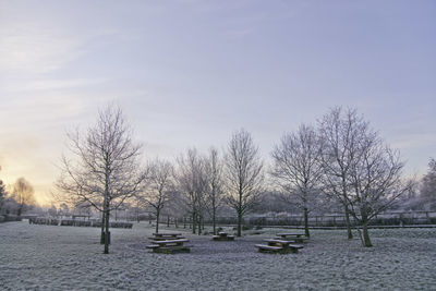 Bare trees on snow covered field against sky