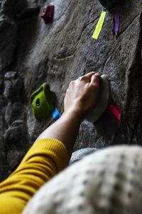 Low section of person with horse