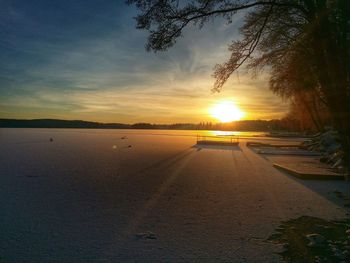 Sun shining through trees