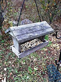 Empty bench in park