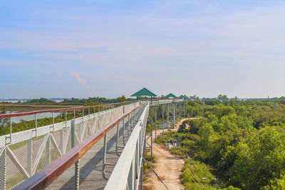 Walkway amidst trees against sky