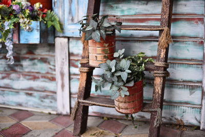 Potted plants in front of building