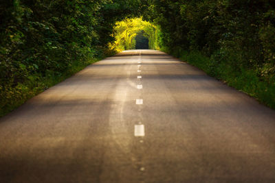 Road amidst trees in forest