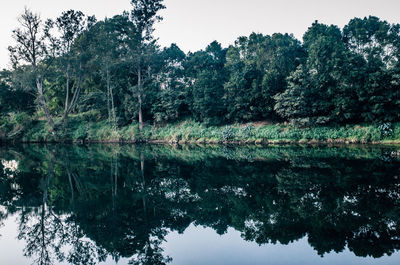 Reflection of trees in lake against sky in forest