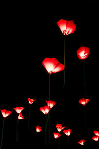 Low angle view of lanterns hanging over black background