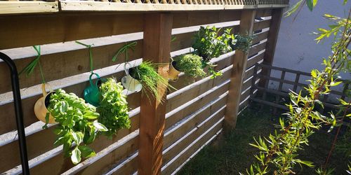 High angle view of potted plants in yard