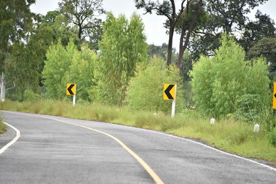 Road sign by trees