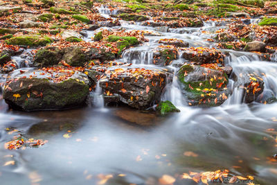 Scenic view of waterfall