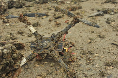 High angle view of drone on ground