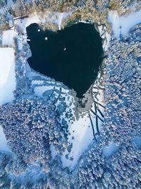 Top-down view onto the lake weitsee near schnaitsee in bavaria