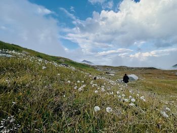 Rear view of man walking on grassy field against sky