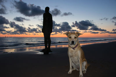 Dog standing on beach during sunset