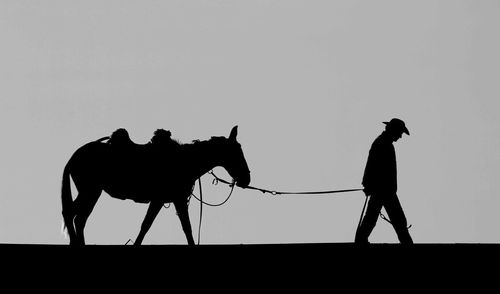 Silhouette man riding horse against sky