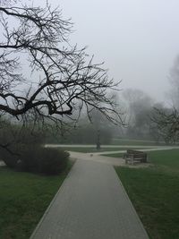 Bare trees on landscape against sky