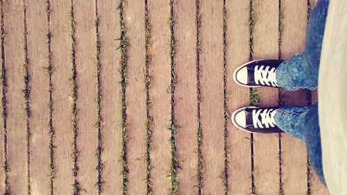 Low section of person standing on wooden floor