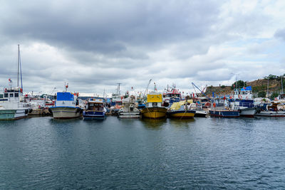 Sailboats moored in harbor