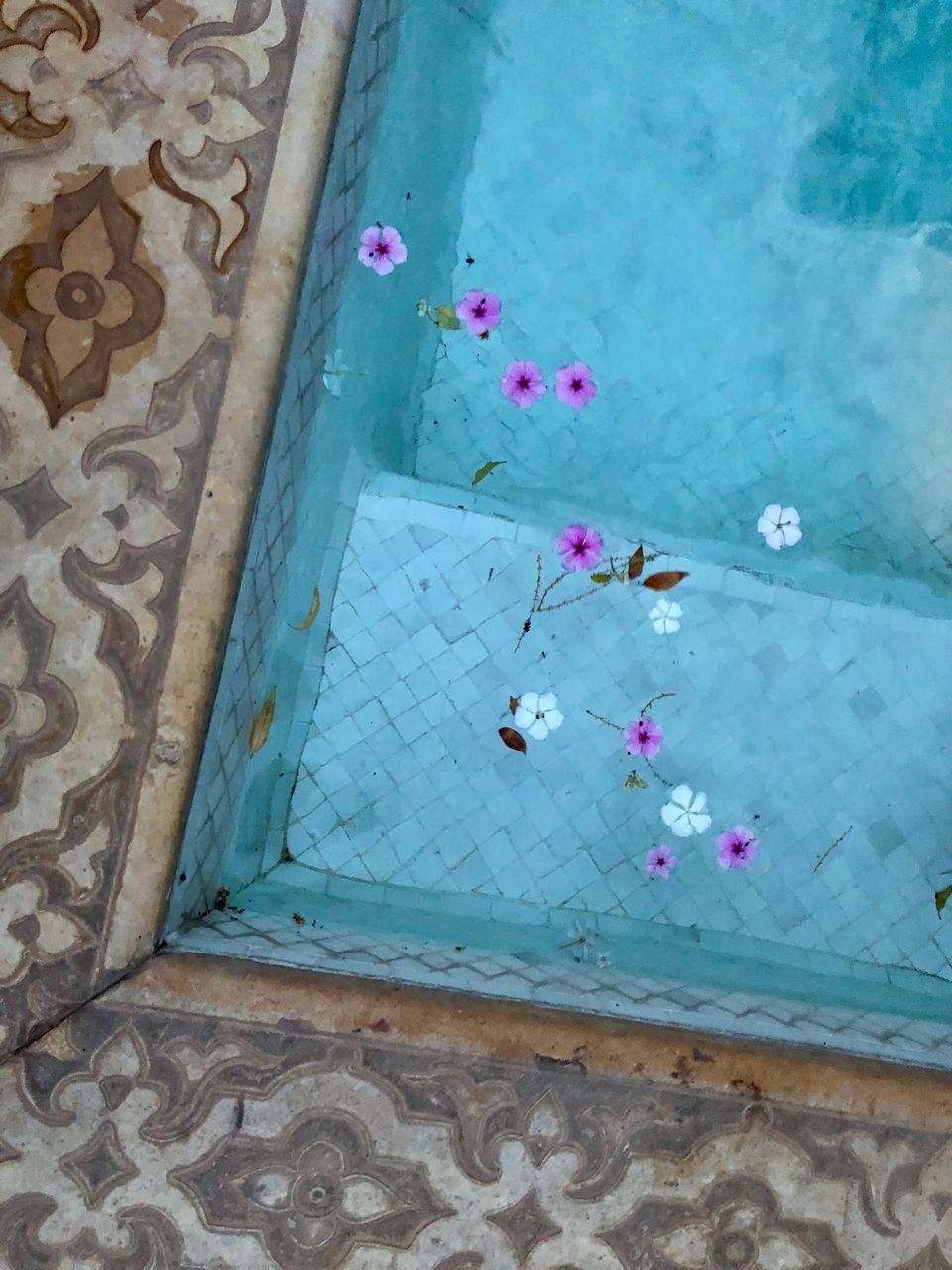 flower, flowering plant, high angle view, plant, nature, no people, water, day, beauty in nature, outdoors, flooring, architecture, tile, petal, freshness, swimming pool, floating, pool, floral pattern, floating on water, tiled floor