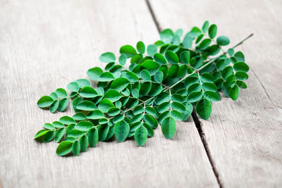 Close-up of green leaves on table