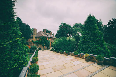 Footpath amidst trees and buildings against sky