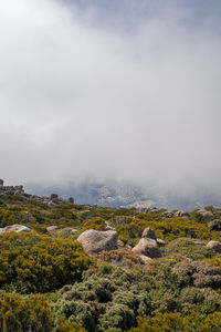 Scenic view of landscape against sky