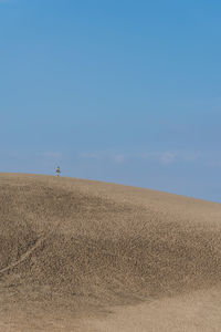 Man on field against clear blue sky