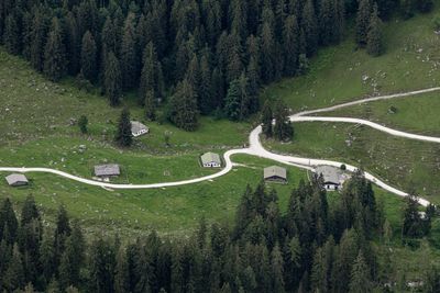 High angle view of road amidst trees in forest