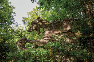 View of lion statue in forest