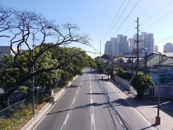 Trees in city against clear sky