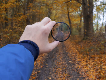 Midsection of person holding autumn leaf in forest