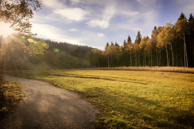 Scenic view of trees on field against sky