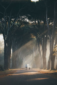 Rear view of man riding bicycle on road