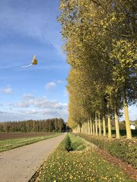 Road amidst trees on field against sky