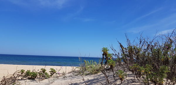 Scenic view of sea against blue sky