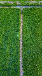 High angle view of soccer field