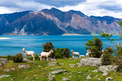 Scenic view of mountains and sea