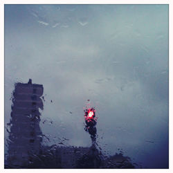 Reflection of trees in water