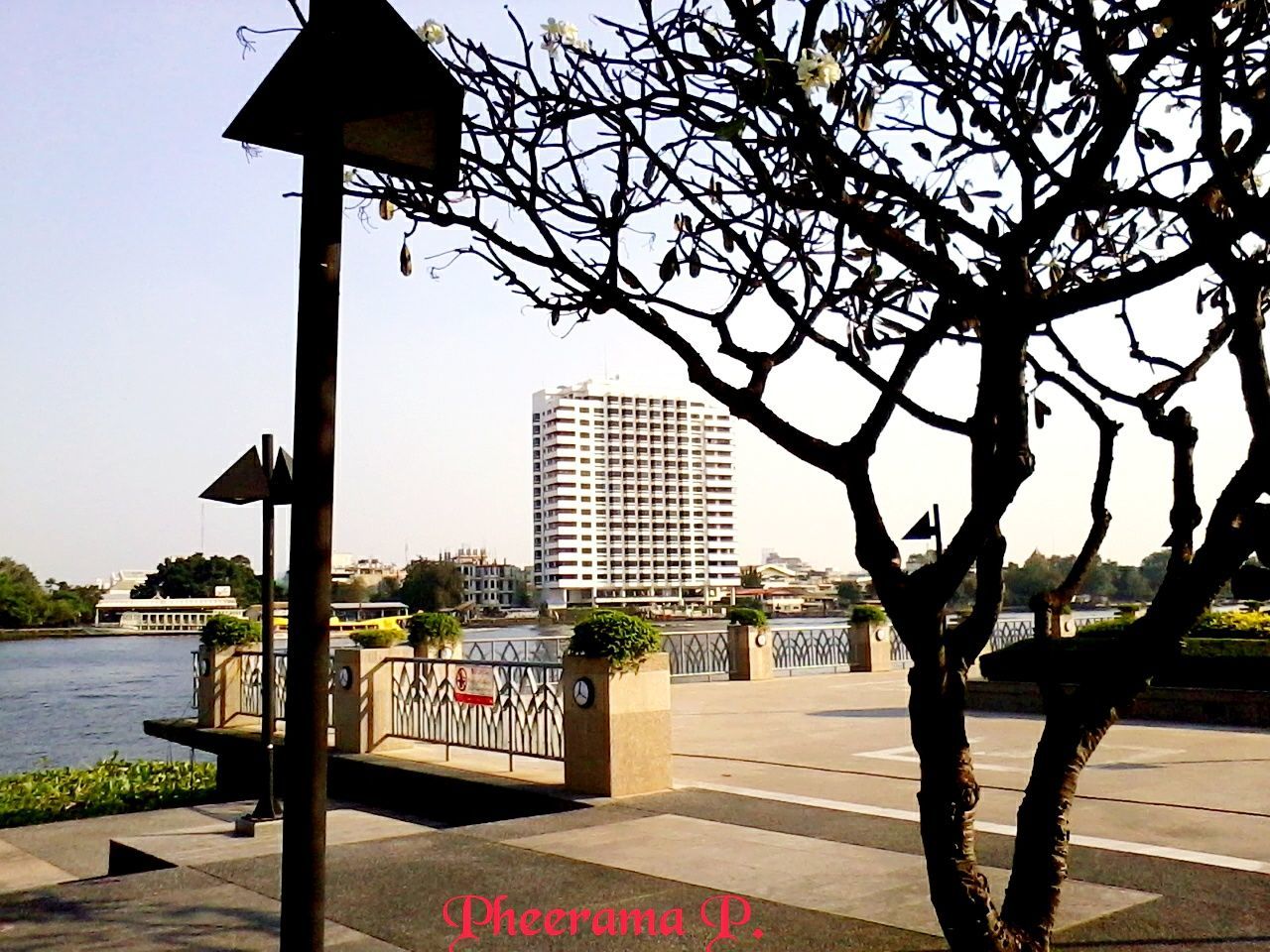 VIEW OF STREET LIGHT IN CITY