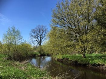 Scenic view of river against sky