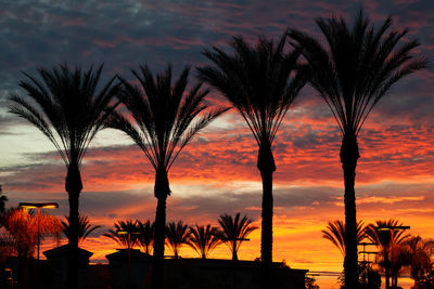 Silhouette palm trees against orange sky