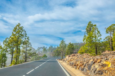 Road by trees against sky