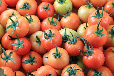 Close-up of tomatoes for sale at market stall