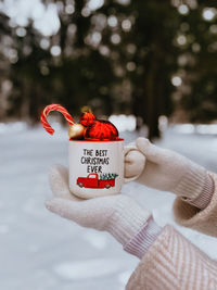 Midsection of woman holding gift on snow