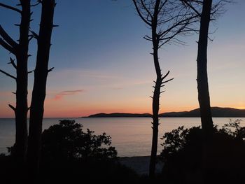 Silhouette tree by lake against sky during sunset