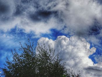 Low angle view of bird flying against cloudy sky