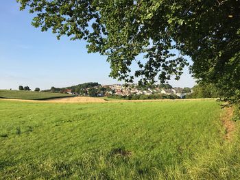 Scenic view of agricultural field against sky