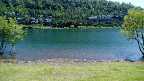 Scenic view of river with trees in background