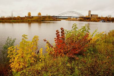 View of bridge over river in city